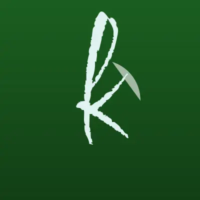 Визитка: kari KIDS, магазин детских товаров в Благовещенске