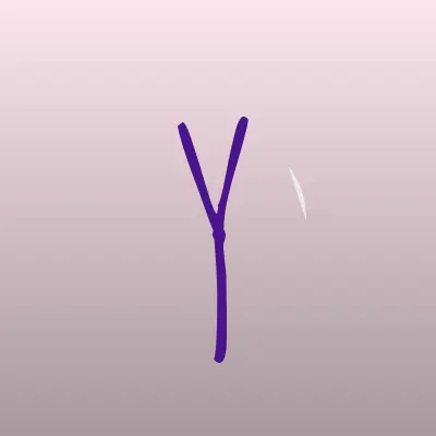 Визитка: your Emotion, интерьерная фотостудия в Кемерово