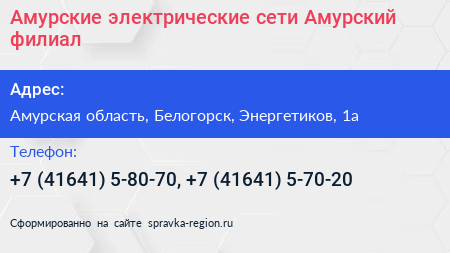 Амурские электрические сети Амурский филиал - визитка