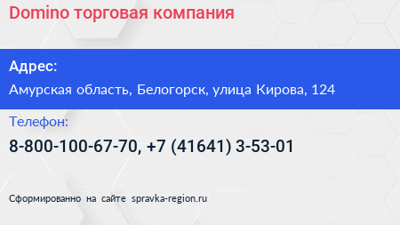 Domino торговая компания - визитка