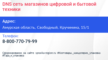DNS сеть магазинов цифровой и бытовой техники - визитка