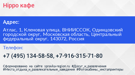 Hippo кафе - визитка