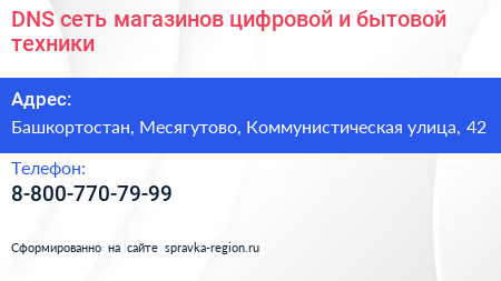 DNS сеть магазинов цифровой и бытовой техники - визитка