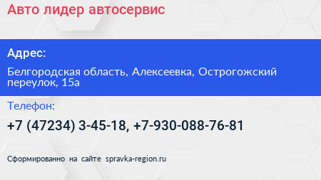 Авто лидер автосервис - визитка