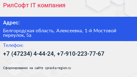 РилСофт IT компания - визитка