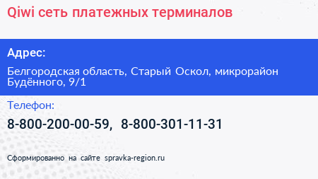 Qiwi сеть платежных терминалов - визитка