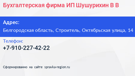 Бухгалтерская фирма ИП Шушурихин В В  - визитка