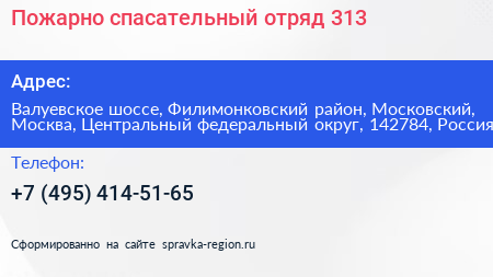 Пожарно спасательный отряд 313 - визитка