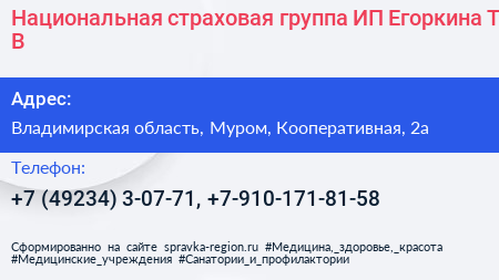 Национальная страховая группа ИП Егоркина Т В  - визитка