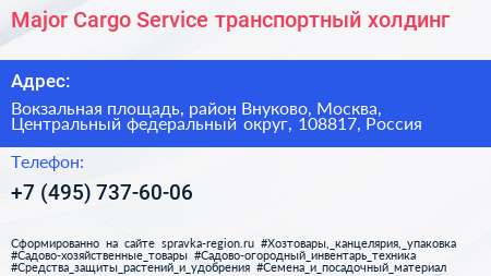 Major Cargo Service транспортный холдинг - визитка