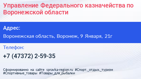 Управление Федерального казначейства по Воронежской области - визитка