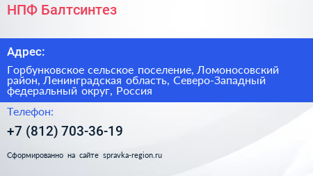 НПФ Балтсинтез - визитка