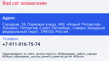 Bad cat зоомагазин - визитка
