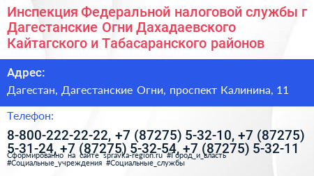Инспекция Федеральной налоговой службы г Дагестанские Огни Дахадаевского Кайтагского и Табасаранского районов - визитка
