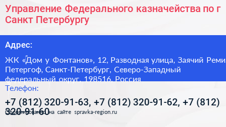 Управление Федерального казначейства по г Санкт Петербургу - визитка