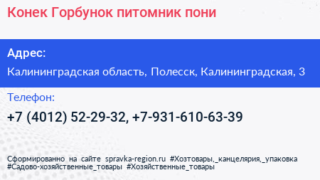 Конек Горбунок питомник пони - визитка