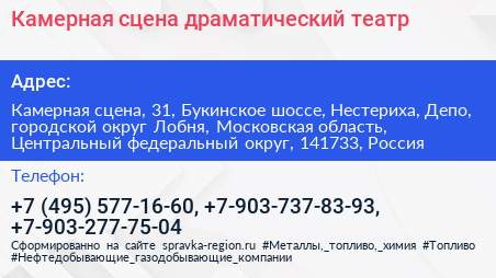 Камерная сцена драматический театр - визитка