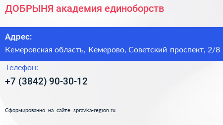 ДОБРЫНЯ академия единоборств - визитка