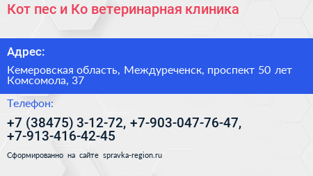 Кот пес и Ко ветеринарная клиника - визитка