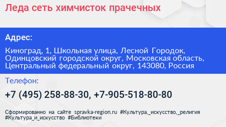 Леда сеть химчисток прачечных - визитка