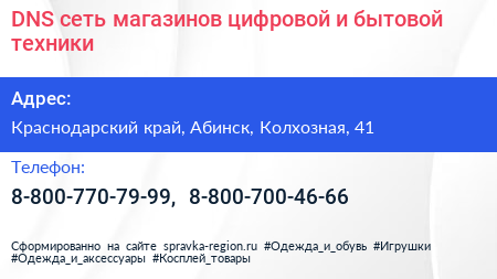 DNS сеть магазинов цифровой и бытовой техники - визитка
