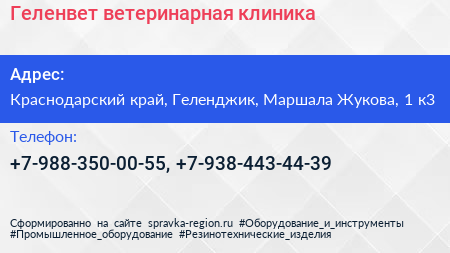 Нажмите, чтобы скачать визитку Геленвет ветеринарная клиника - визитка