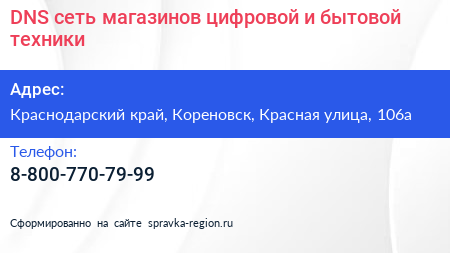 DNS сеть магазинов цифровой и бытовой техники - визитка
