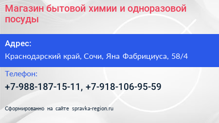 Магазин бытовой химии и одноразовой посуды - визитка
