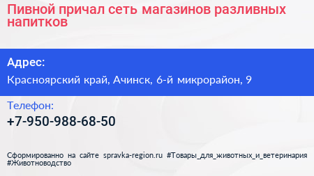 Пивной причал сеть магазинов разливных напитков - визитка