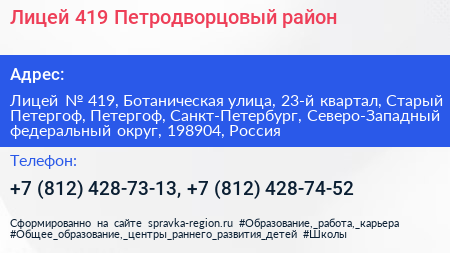 Лицей 419 Петродворцовый район - визитка