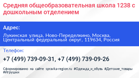 Средняя общеобразовательная школа 1238 с дошкольным отделением - визитка