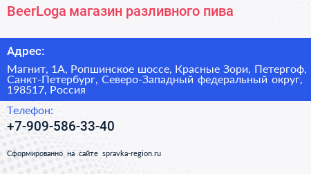 BeerLoga магазин разливного пива - визитка