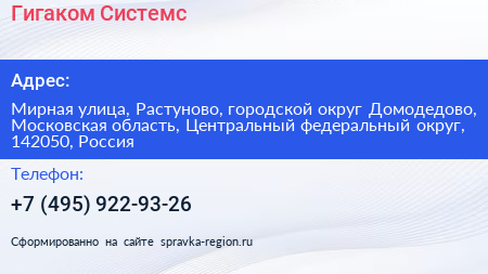 Гигаком Системс - визитка