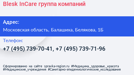 Blesk InCare группа компаний - визитка