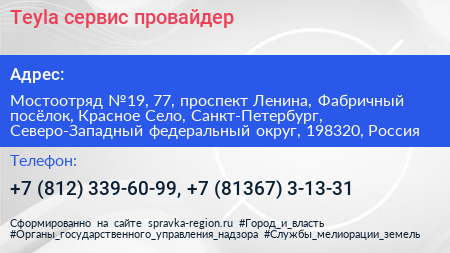 Teyla сервис провайдер - визитка