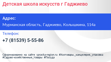 Детская школа искусств г Гаджиево - визитка