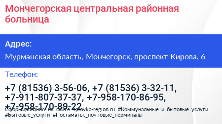 Мончегорская центральная районная больница - визитка