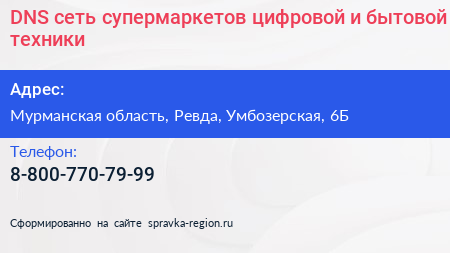 DNS сеть супермаркетов цифровой и бытовой техники - визитка