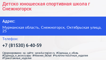 Детско юношеская спортивная школа г Снежногорск - визитка