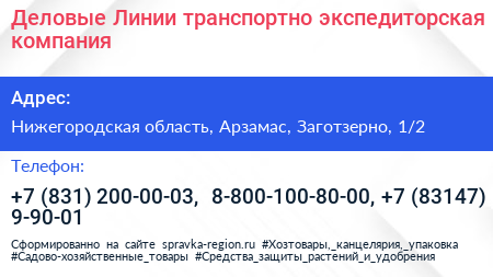 Деловые Линии транспортно экспедиторская компания - визитка