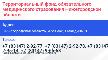 Территориальный фонд обязательного медицинского страхования Нижегородской области - визитка