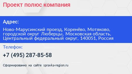 Проект полюс компания - визитка