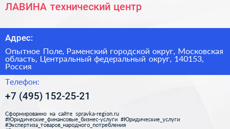 ЛАВИНА технический центр - визитка