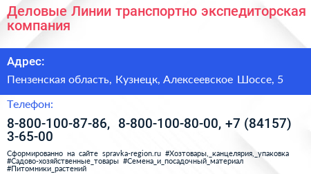 Деловые Линии транспортно экспедиторская компания - визитка