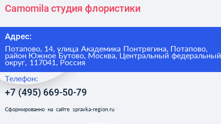 Camomila студия флористики - визитка