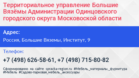 Территориальное управление Большие Вязёмы Администрации Одинцовского городского округа Московоской области - визитка
