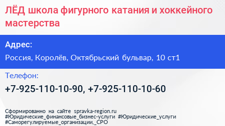 ЛЁД школа фигурного катания и хоккейного мастерства - визитка