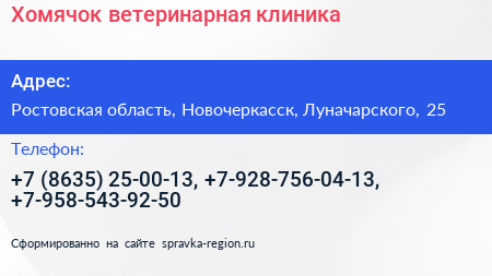 Хомячок ветеринарная клиника - визитка