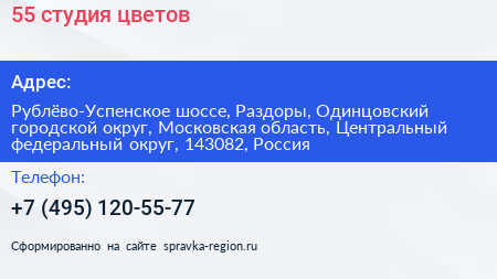 55 студия цветов - визитка