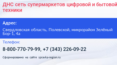 ДНС сеть супермаркетов цифровой и бытовой техники - визитка